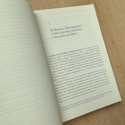 O Antigo Testamento | Josef Schreiner