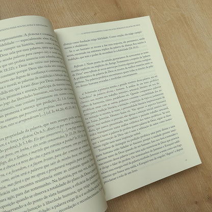 O Antigo Testamento | Josef Schreiner