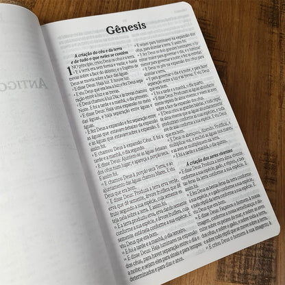Bíblia Sagrada Com Cantor Cristão | ARC | Letra Grande | Capa Luxo Champanhe
