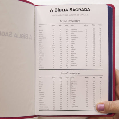 Bíblia Sagrada Slim | NVI | Letra Maior | Capa Luxo Nude