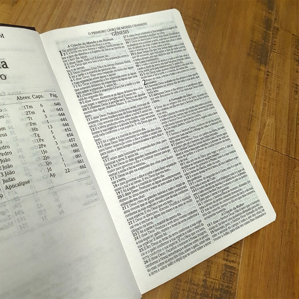 Bíblia Sagrada Slim | Harpa e Corinhos | ARC | Letra Normal | Capa Dura Jardim Preta