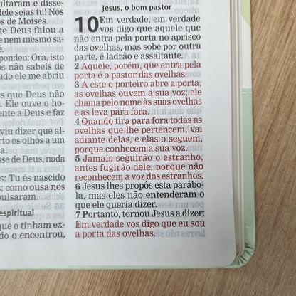 Bíblia Sagrada | AEC | Letra Gigante | Capa Semi Luxo Verde Estampada