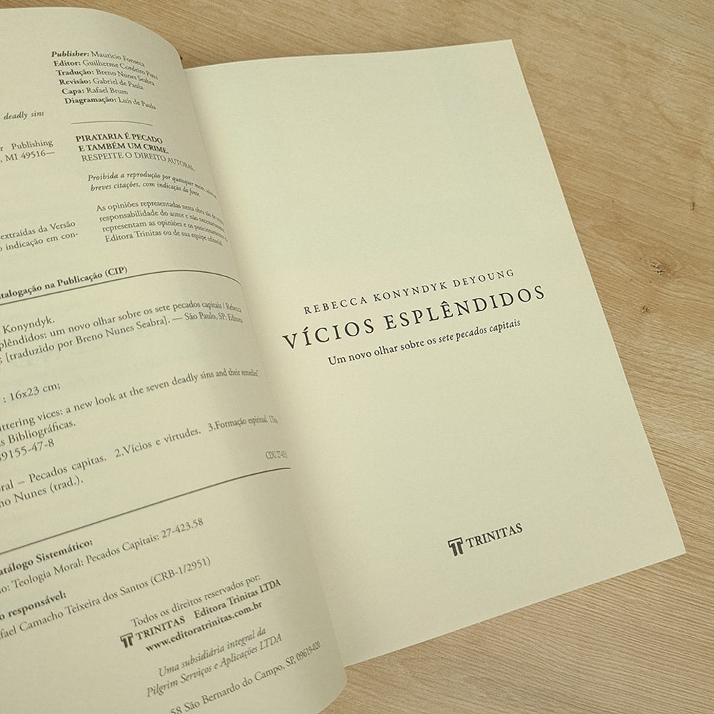 Vícios Esplêndidos | Rebeca Konyndyk Deyoung