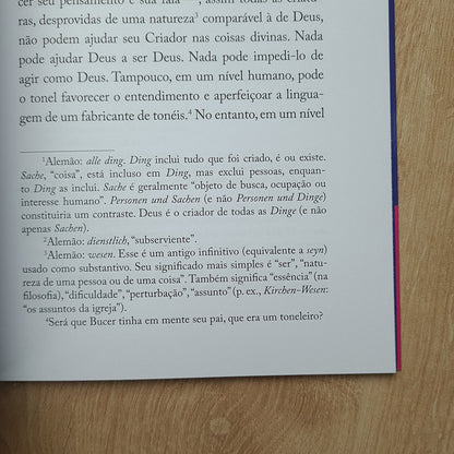 Instrução no Amor Cristão | Martin Bucer