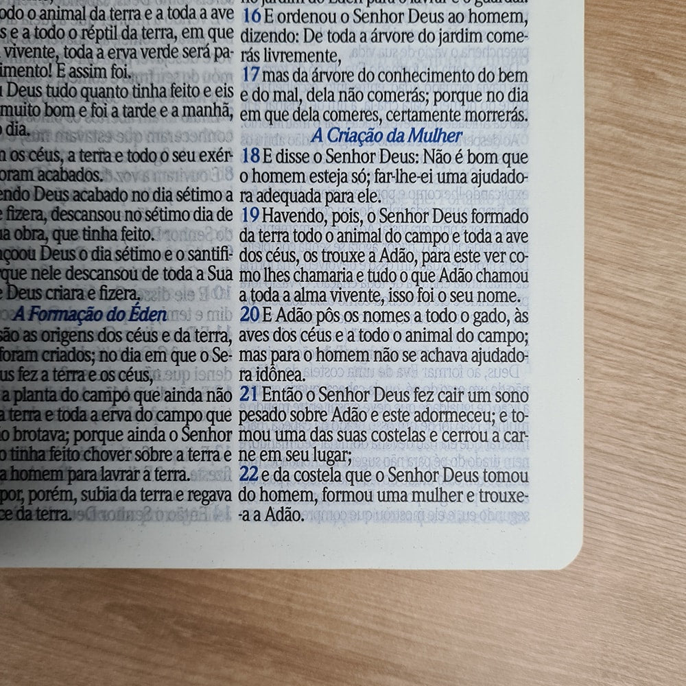 Bíblia de Estudo do Homem Sábio | ARC | Letra Gigante | C/ Harpa e Corinhos | Capa Luxo Preta e Marrom