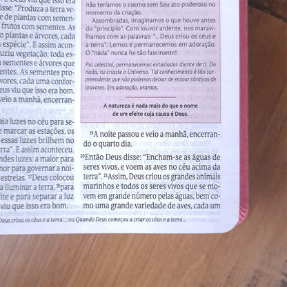 Bíblia de Estudos da Mulher | NVT | Letra Normal | Capa Luxo Rosa