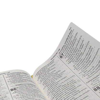 Bíblia Sagrada Economica | ARA | Letra Gigante | Capa Preto Luxo