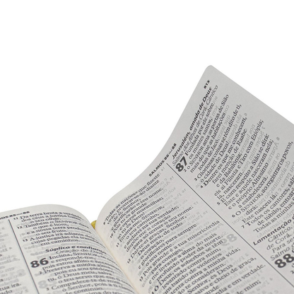 Bíblia Sagrada Economica | ARA | Letra Gigante | Capa Preto Luxo