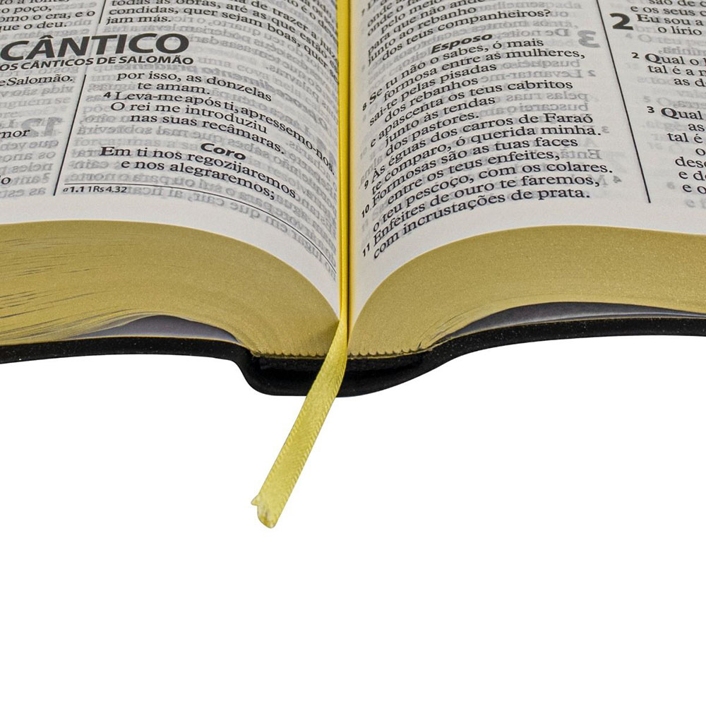 Bíblia Sagrada Economica | ARA | Letra Gigante | Capa Preto Luxo