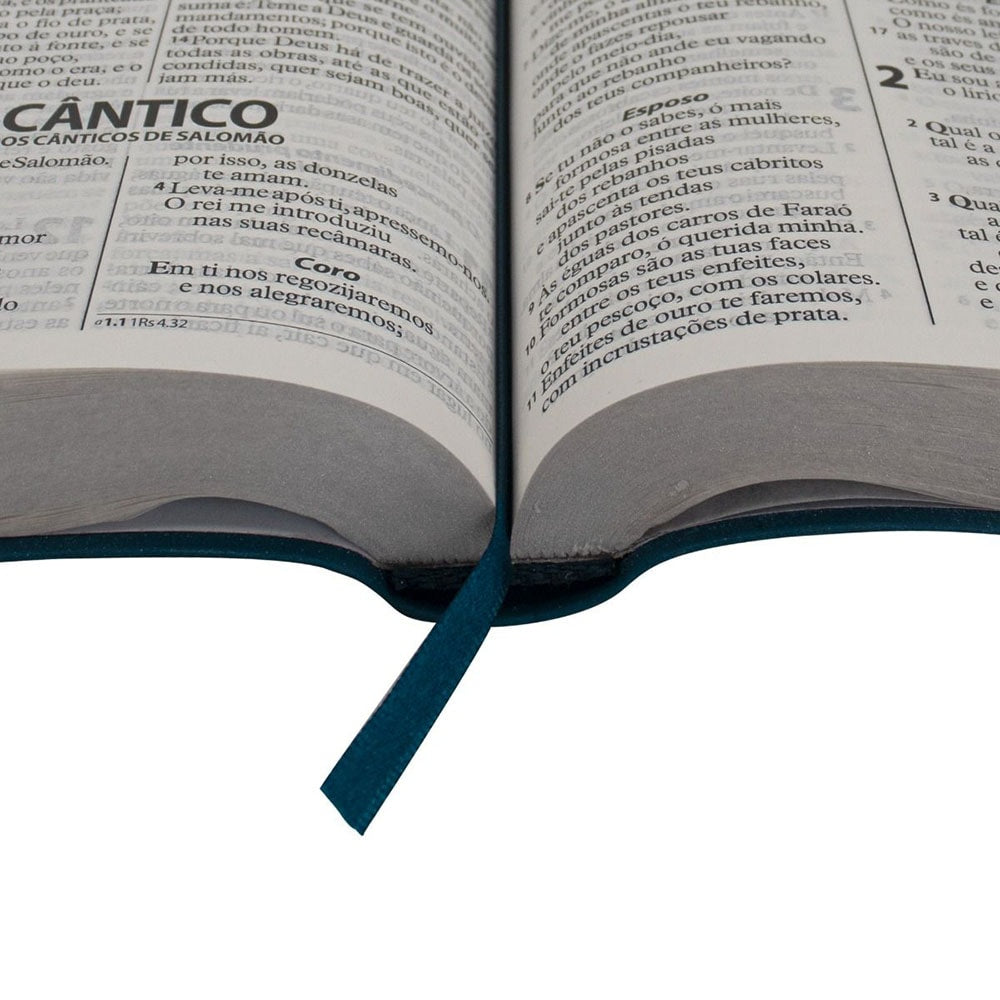 Bíblia Sagrada Economica | ARA | Letra Gigante | Capa Azul Luxo