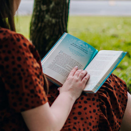 Acolhida | Lysa Terkeurst