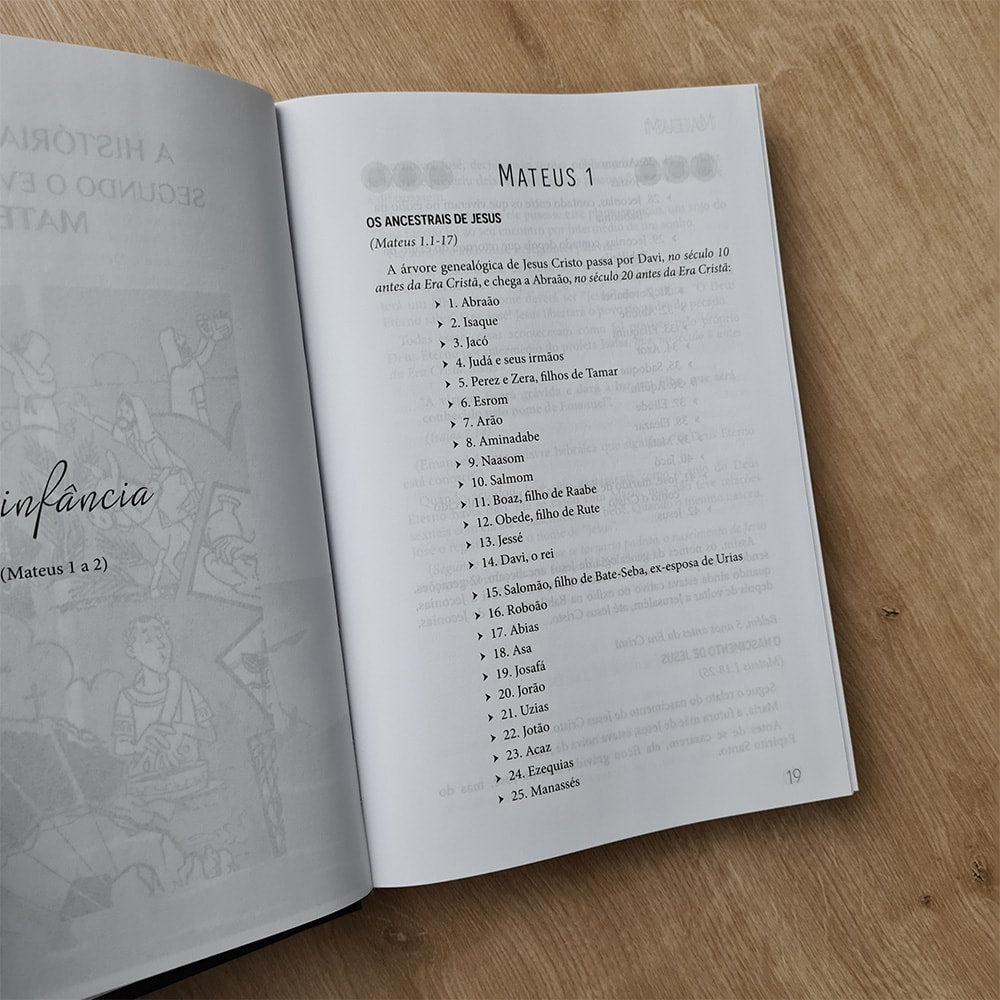 Bíblia Prazer da Palavra | A História de Jesus Segundo os Evangelhos