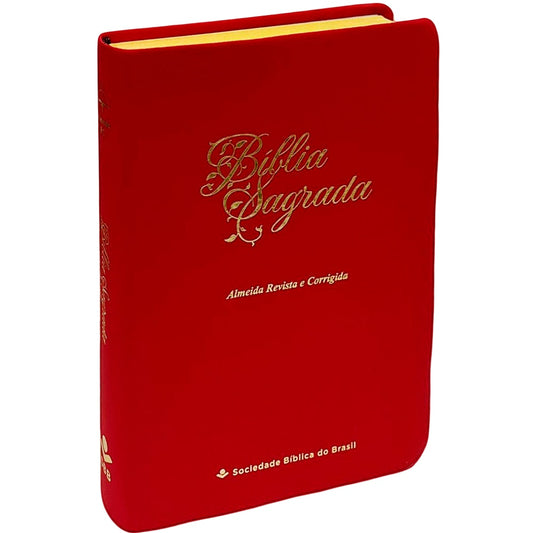 Bíblia Sagrada Economica | ARC | Letra Gigante | Capa Vermelho Luxo