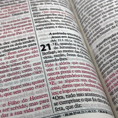 Bíblia Sagrada Economica | ARC | Letra Gigante | Capa Vermelho Luxo