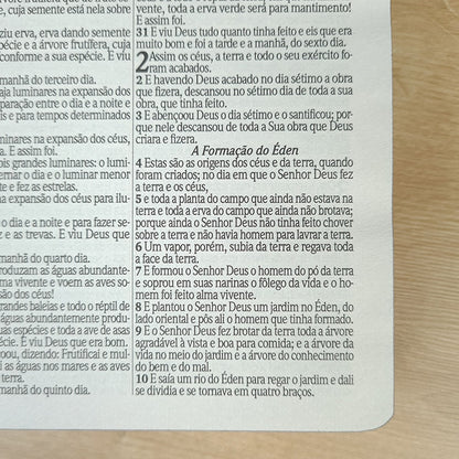 Bíblia Sagrada | ARC | Harpa Avivada e Corinhos | Letra Gigante | Capa Dura Leão Amarelo