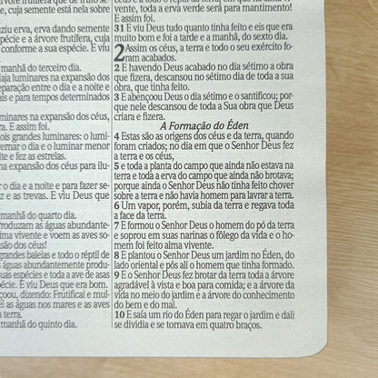 Bíblia Sagrada | ARC | Harpa Avivada e Corinhos | Letra Gigante | Capa Dura Floral Neon