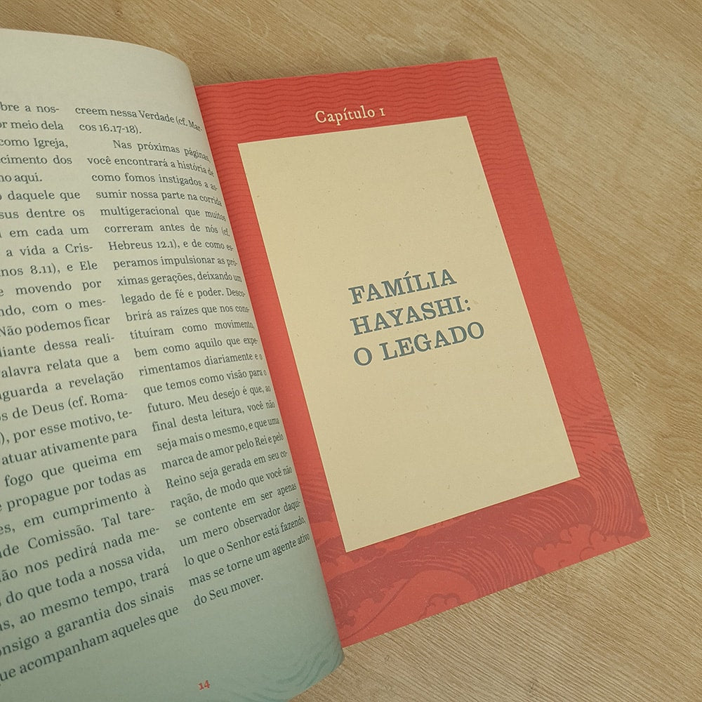Um Poder em Movimento | Teófilo Hayashi | Capa Dura