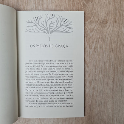 Meios Essenciais de Graça | Paul Washer