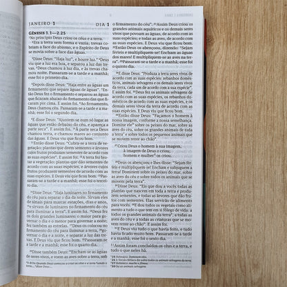 Bíblia 365 Clássica Minimalista | NVI | Letra Grande | Capa Brochura