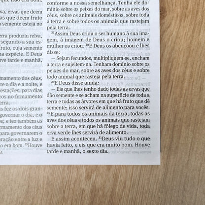 Bíblia 365 Azul | NAA | Letra Grande | Capa Brochura