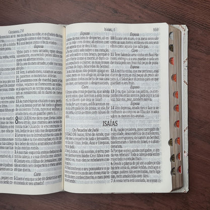 Bíblia Sagrada | ARC | Letra Jumbo | Capa Luxo Bicolor Rosa | Harpa Avivada e Corinhos