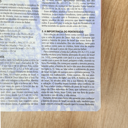 Bíblia de Estudo | Letra Normal | NTLH | Capa Luxo Rosa Nobre