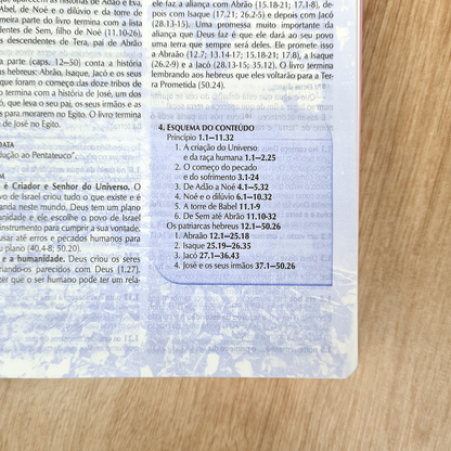Bíblia de Estudo | Letra Normal | NTLH | Capa Luxo Rosa Nobre