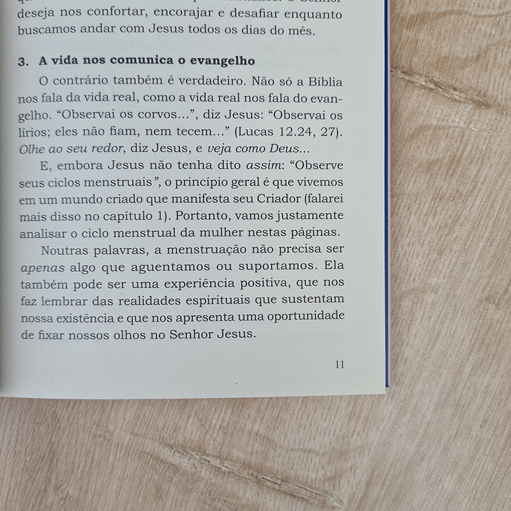 TPM Teologia para Menstruação |  Rachel Jones