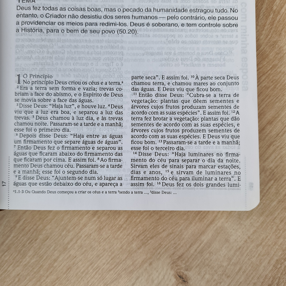 Bíblia Devocional Do Homem | NVI | Letra Grande | Capa Luxo Marrom