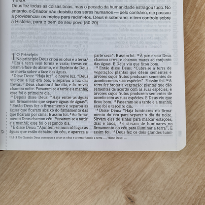 Bíblia Devocional Do Homem | NVI | Letra Grande | Capa Luxo Marrom