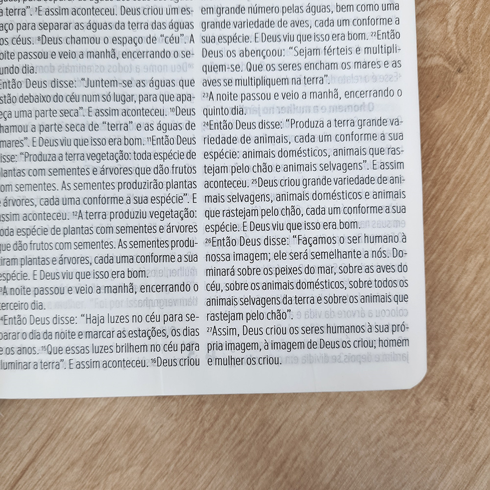 Bíblia Sagrada | NVT | Letra Gigante | Capa  Luxo Vermelha
