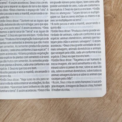 Bíblia Sagrada | NVT | Letra Gigante | Capa  Luxo Vermelha