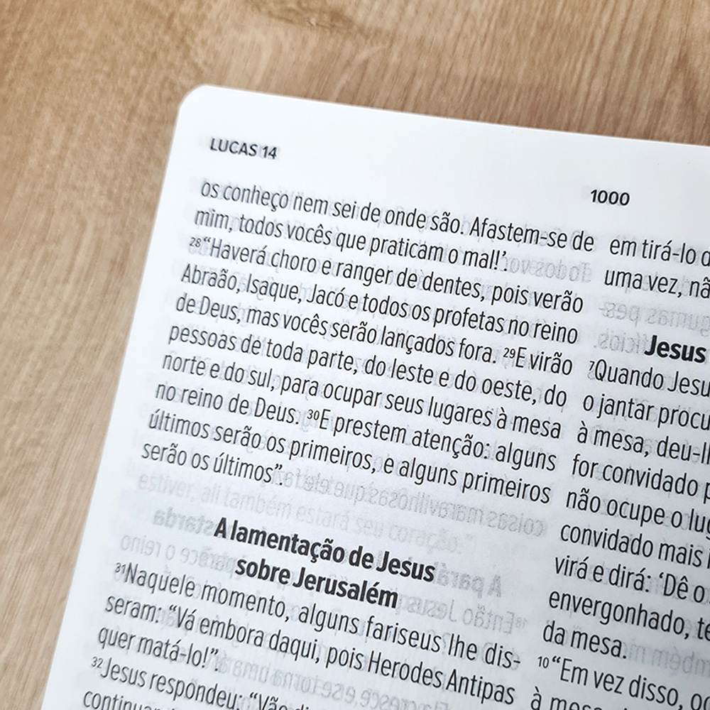 Bíblia Sagrada | NVT | Letra Gigante | Capa  Luxo Vermelha