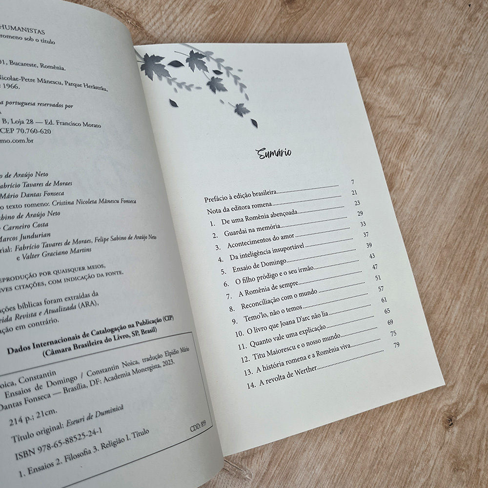 Ensaios de Domingo | Constain Noica