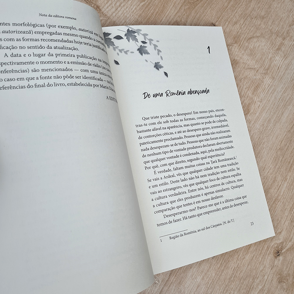 Ensaios de Domingo | Constain Noica