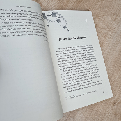 Ensaios de Domingo | Constain Noica