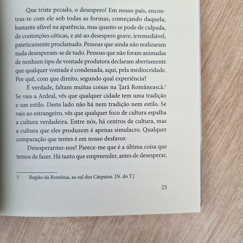 Ensaios de Domingo | Constain Noica