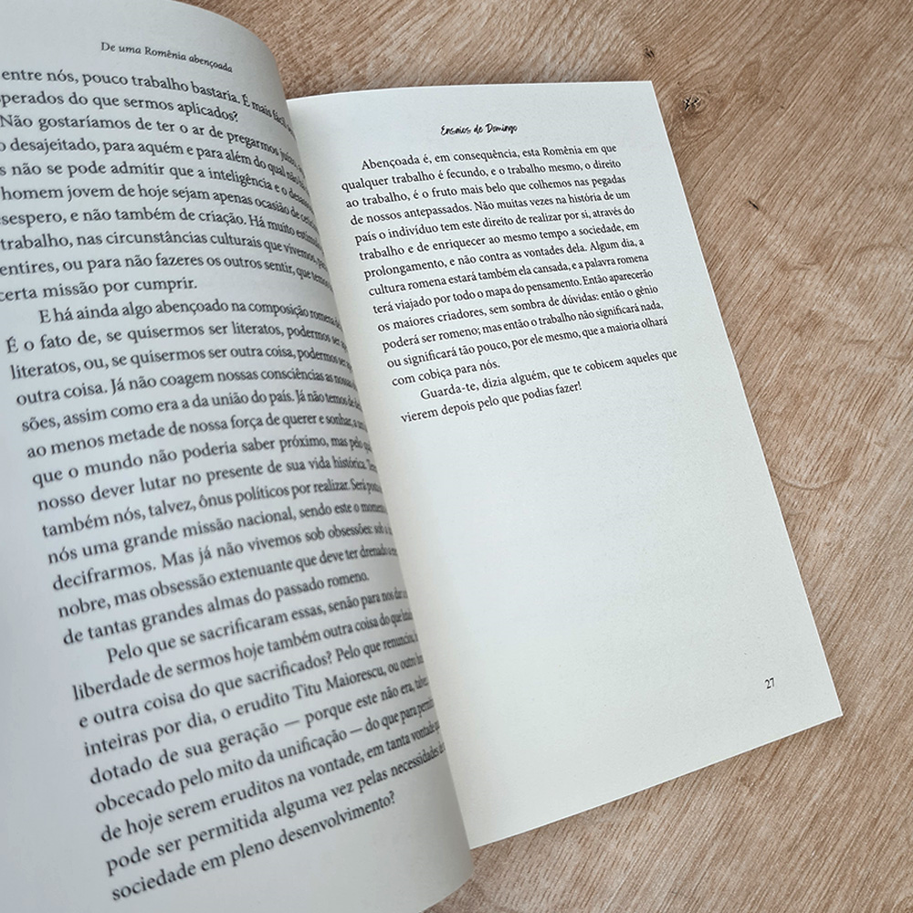 Ensaios de Domingo | Constain Noica