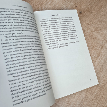 Ensaios de Domingo | Constain Noica