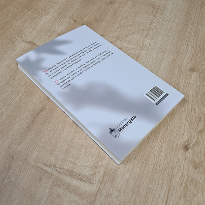 Ensaios de Domingo | Constain Noica