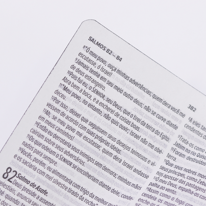 Bíblia Sagrada Leão Dourado Slim | NVT |  Letra Maior | Capa Luxo Preta