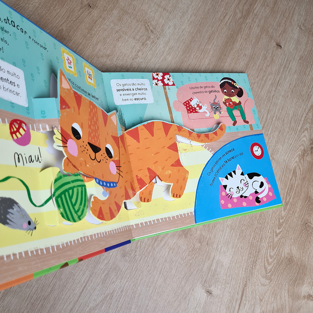 Eu Amo Pets | Meu Livro Po-Up | Ruth Redford e Louise Anglicas
