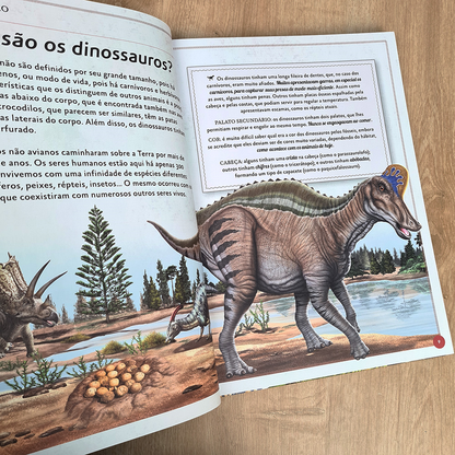 O Magnífico Livro dos Dinossauros