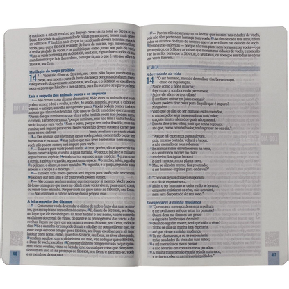 Bíblia 365 Dia e Noite | NAA | Letra Normal | Capa Dura Leão