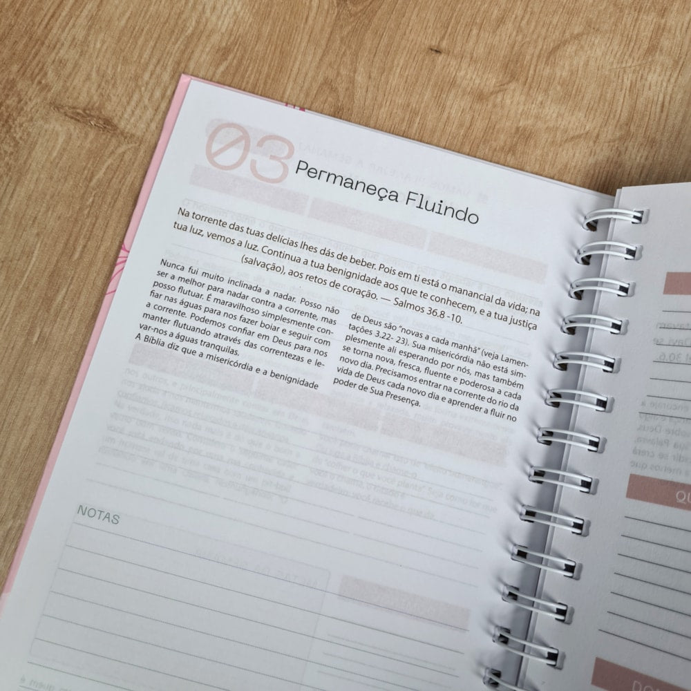 Planner da Vida Diária | Capa Dura Espiral Cor Pastel