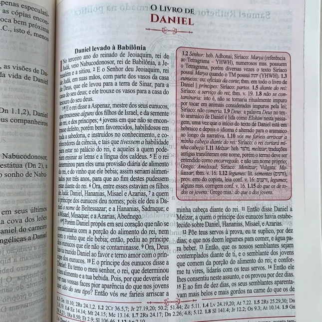 Bíblia de Estudo Reformadores | KJF | Letra Normal | Capa Luxo Caramelo