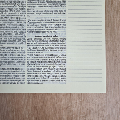 Bíblia Sagrada Leia e Anote | NVT | Letra Normal | Capa Dura Meu Socorro