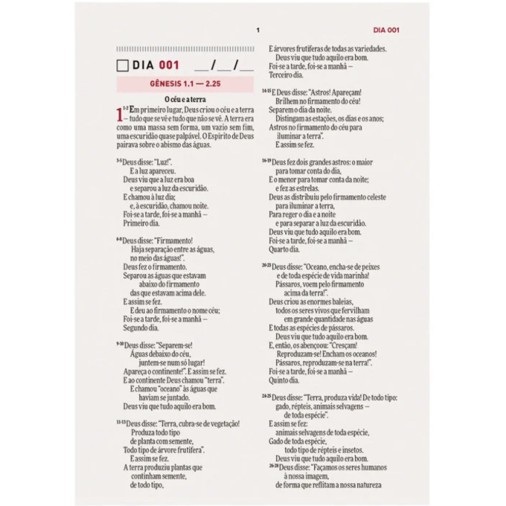 Bíblia Todo Dia com Espaço para Anotações | AM | Letra Normal | Capa Dura Vitral