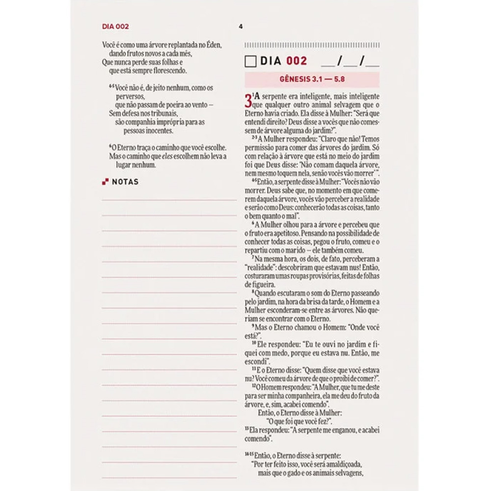 Bíblia Todo Dia com Espaço para Anotações | AM | Letra Normal | Capa Dura Vitral