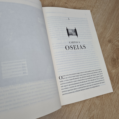 As Cartas Perdidas Aos Doze Profetas | John Goldingay